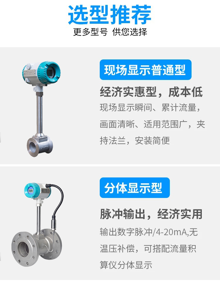 渦街流量計(jì)選型1 渦街流量計(jì)選型1